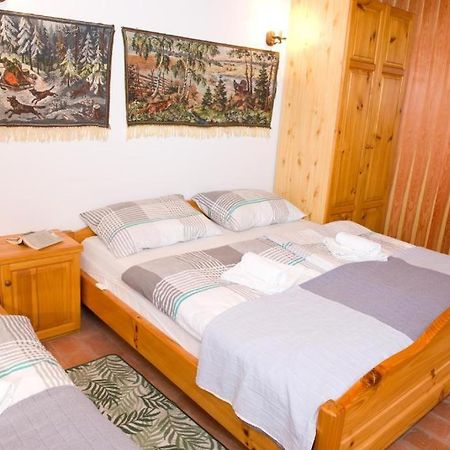 Apartament Planinca -Hisa Z Razgledom Smarje pri Jelsah Zewnętrze zdjęcie