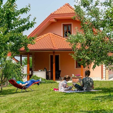 Apartament Planinca -Hisa Z Razgledom Smarje pri Jelsah Zewnętrze zdjęcie