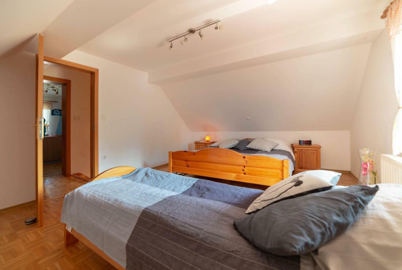 Apartament Planinca -Hisa Z Razgledom Smarje pri Jelsah Zewnętrze zdjęcie