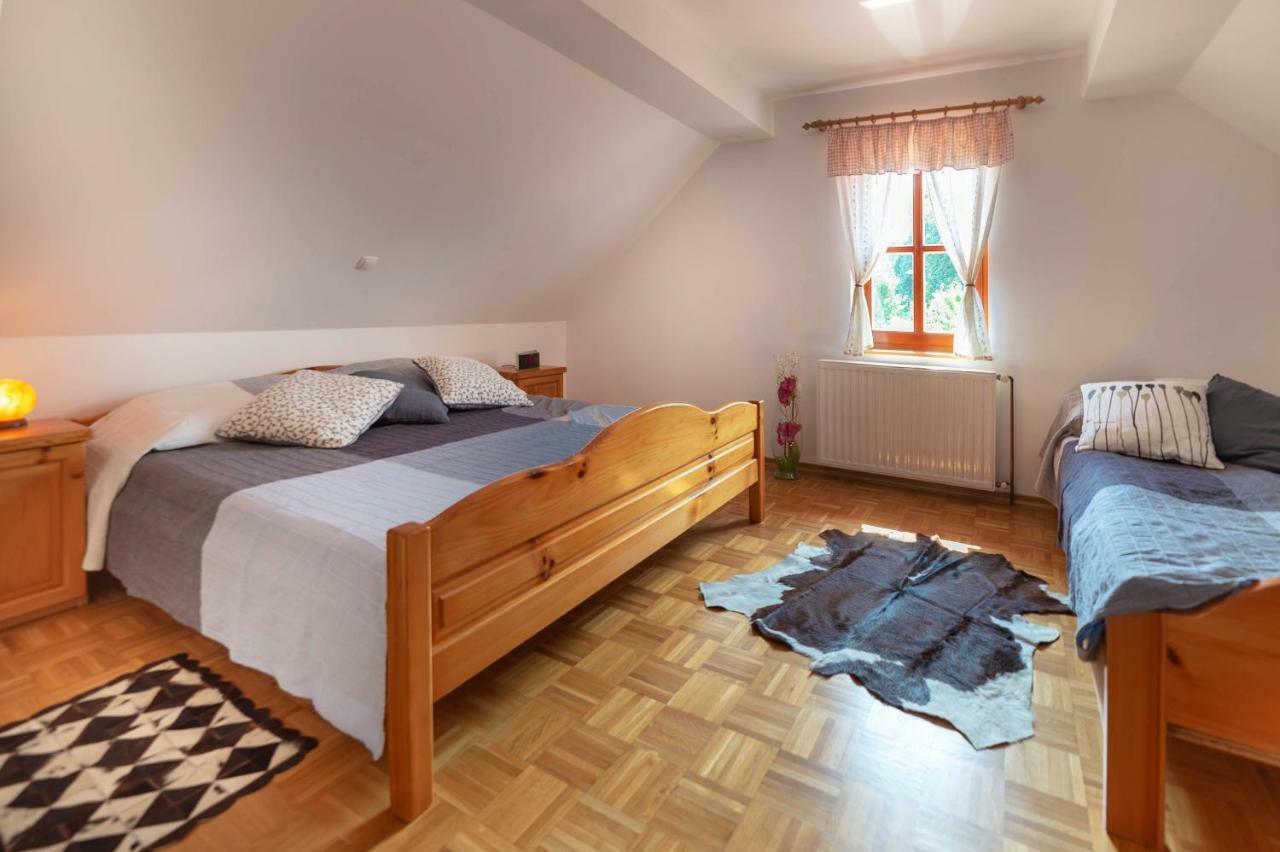 Apartament Planinca -Hisa Z Razgledom Smarje pri Jelsah Zewnętrze zdjęcie