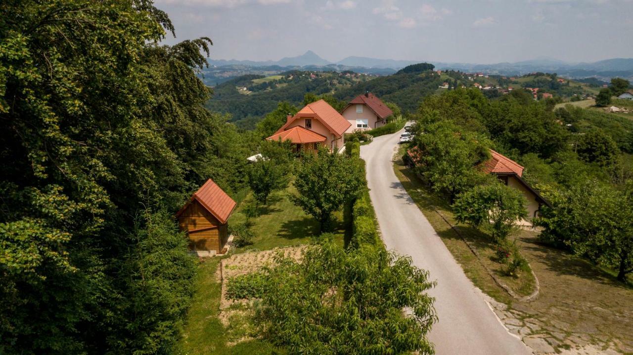 Apartament Planinca -Hisa Z Razgledom Smarje pri Jelsah Zewnętrze zdjęcie