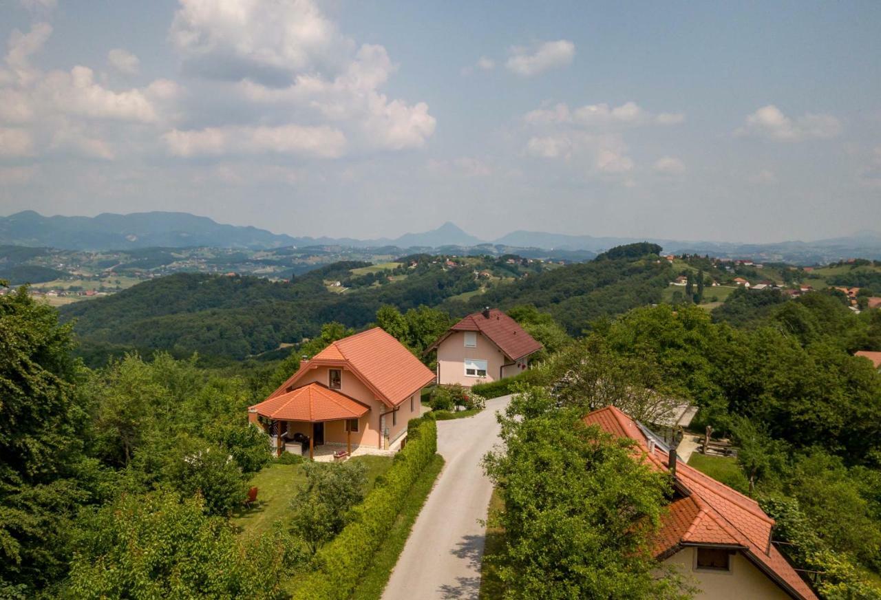 Apartament Planinca -Hisa Z Razgledom Smarje pri Jelsah Zewnętrze zdjęcie