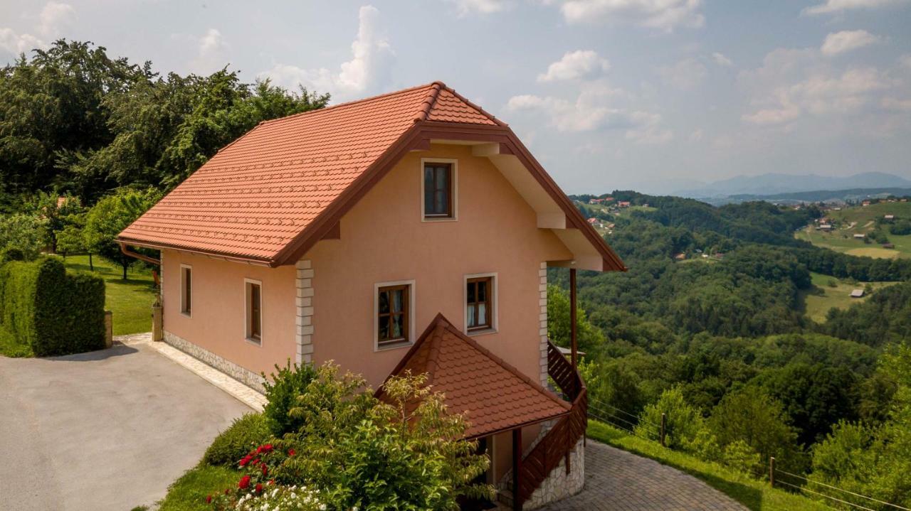 Apartament Planinca -Hisa Z Razgledom Smarje pri Jelsah Zewnętrze zdjęcie